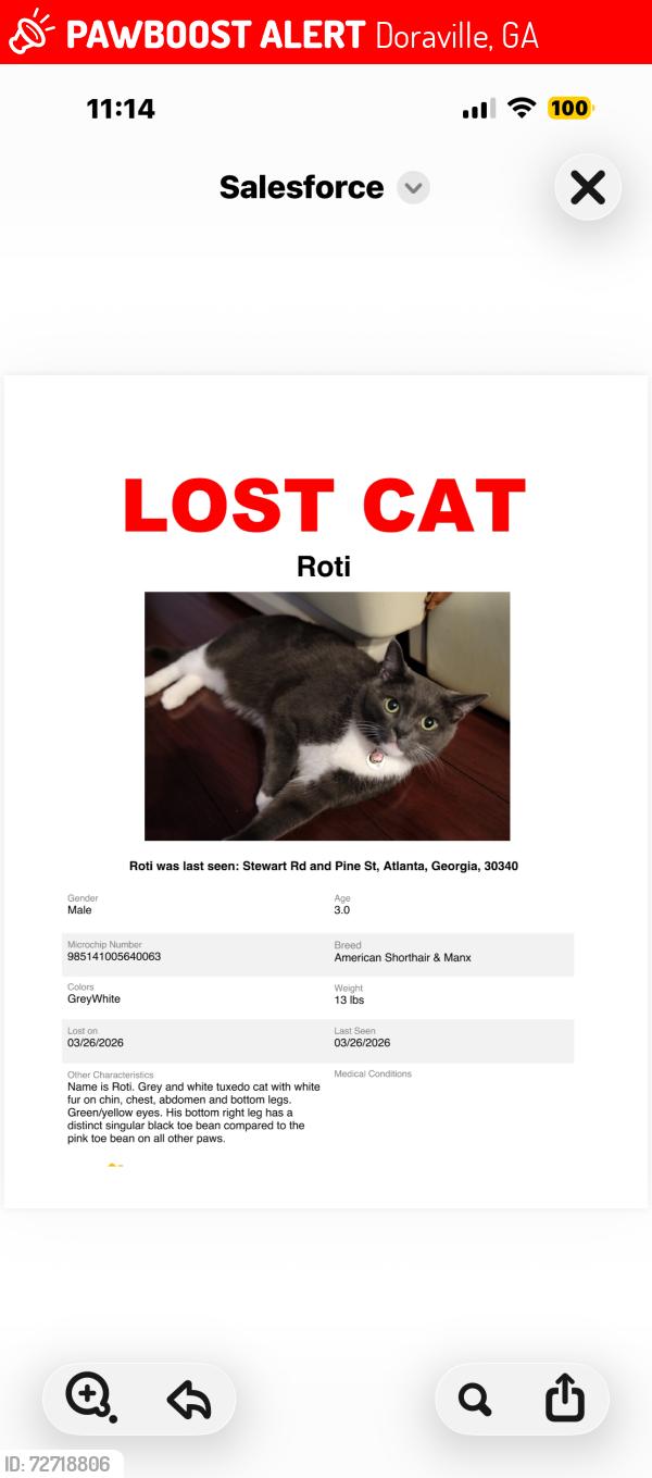 Lost Male Cat last seen Stewart doraville ga , Doraville, GA 30340