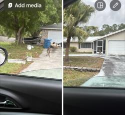 Found/Stray Unknown Dog last seen Corner island ave and Albion , Palm Bay, FL 32907