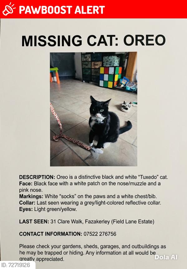 Lost Male Cat last seen Field lane , Merseyside, England L10 4YG