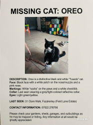 Lost Male Cat last seen Field lane , Merseyside, England L10 4YG
