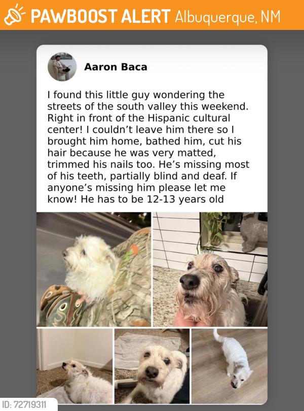 Found/Stray Male Dog last seen Right across the street from the Hispanic cultural center , Albuquerque, NM 87102