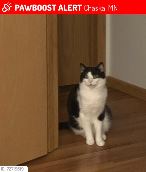 Lost Male Cat last seen Chaska , Chaska, MN 55318