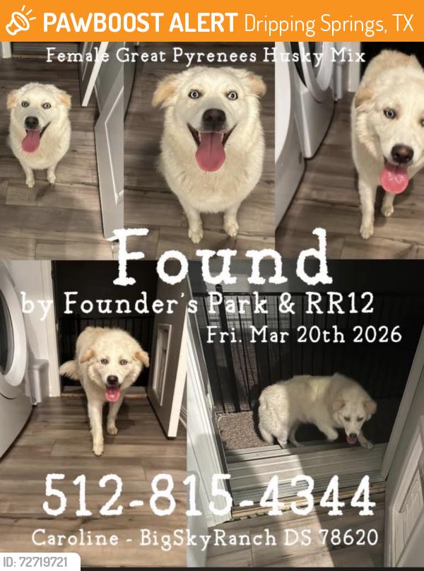 Found/Stray Female Dog last seen RR12 & Founder’s Park, Dripping Springs, TX 78620