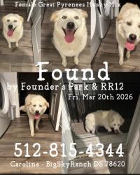 Found/Stray Female Dog last seen RR12 & Founder’s Park, Dripping Springs, TX 78620