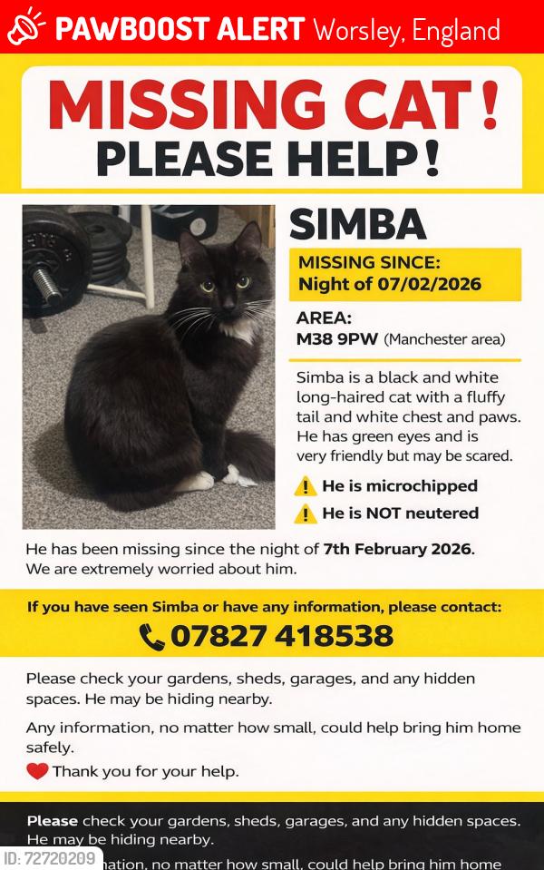 Lost Male Cat last seen Wingate Road , Worsley, England 