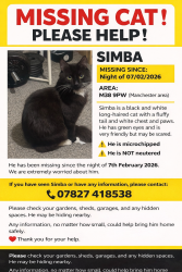 Lost Male Cat last seen Wingate Road , Worsley, England 