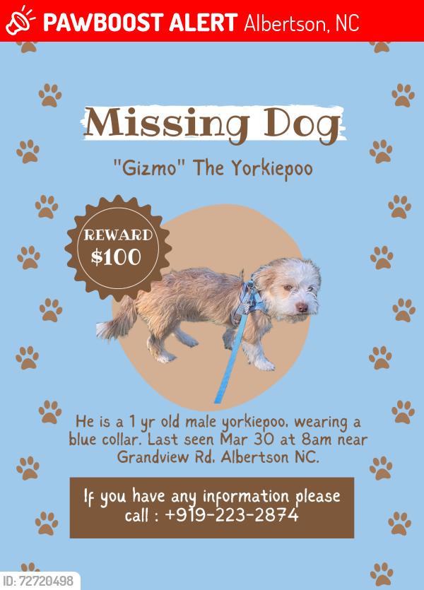 Lost Male Dog last seen Near dg, Albertson, NC 28508