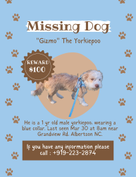 Lost Male Dog last seen Near dg, Albertson, NC 28508