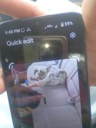 Found/Stray Female Dog last seen Sylavan, Modesto, CA 95355