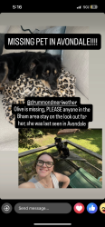 Lost Female Dog last seen Near Hardy Automative ran into woods, Birmingham, AL 35222