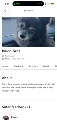 Lost Male Dog last seen McDonald's , San Diego, CA 92114