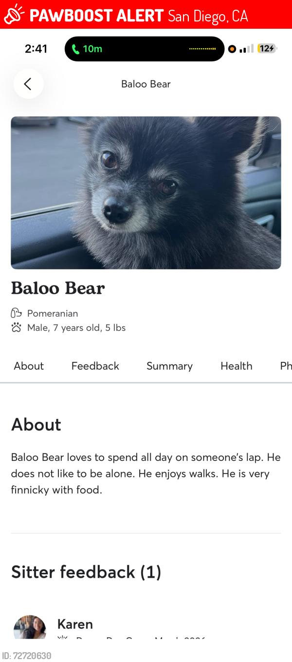 Lost Male Dog last seen McDonald's , San Diego, CA 92114