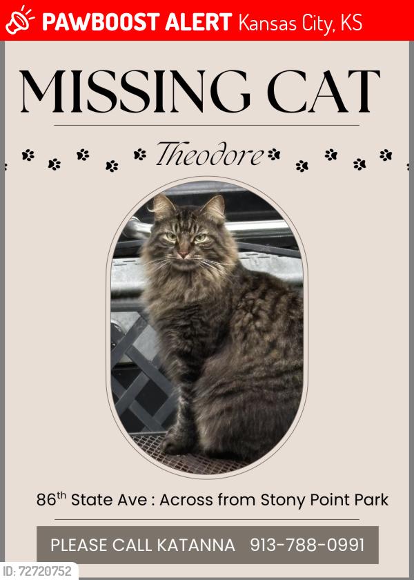 Lost Male Cat last seen 86th State Ave, Kansas City, KS 66112