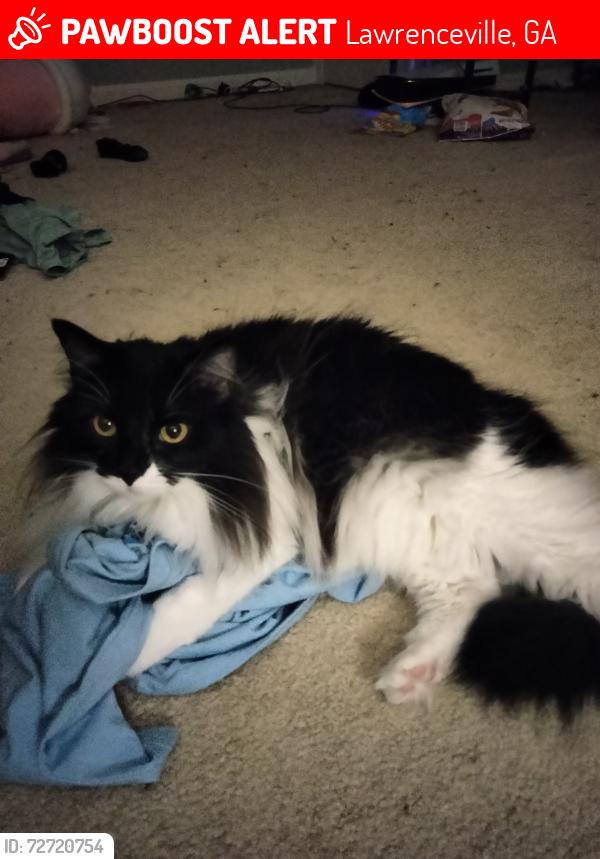 Lost Female Cat last seen Five Forks and Eagle Crossing Dr , Lawrenceville, GA 30044