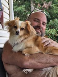 Lost Female Dog last seen Oak Hill Branch rd., 140 South Webster Ohio, Bloom Township, OH 45682