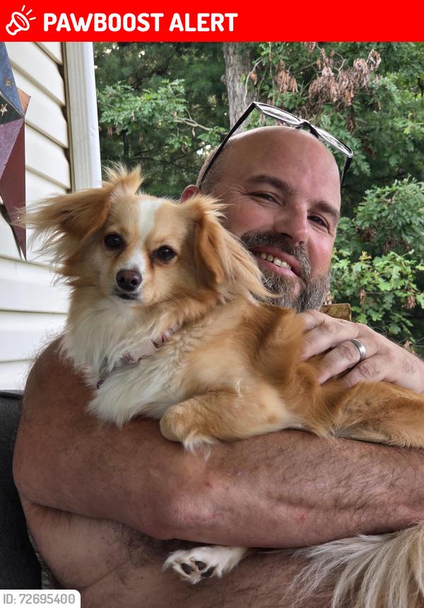 Lost Female Dog last seen Oak Hill Branch rd., 140 South Webster Ohio, Bloom Township, OH 45682