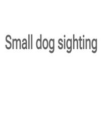 Found/Stray Unknown Dog last seen Closer to tabor road exit ran towards the curve back towards housing?, Bryan, TX 77803