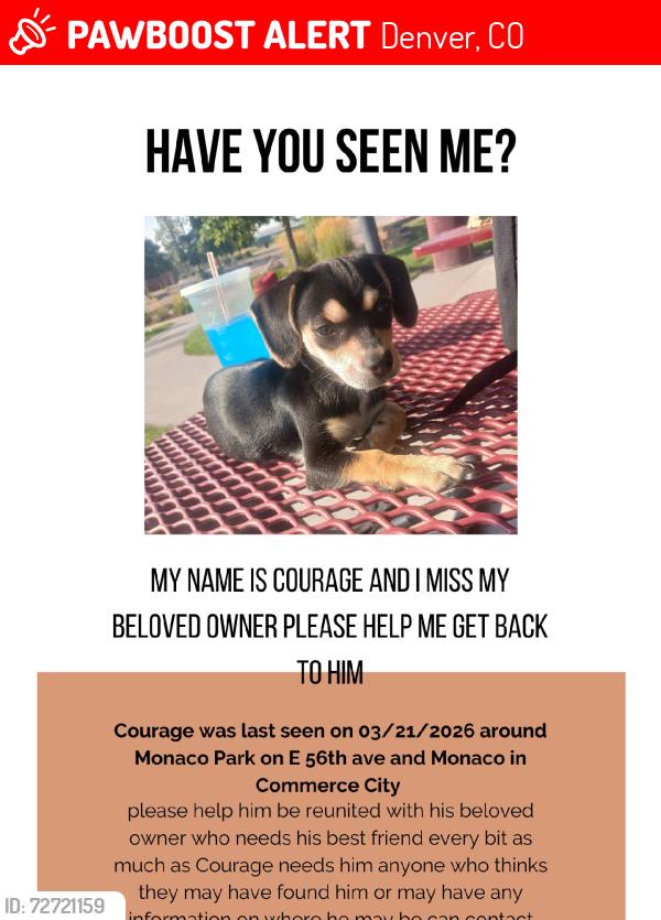 Lost Male Dog last seen Monaco Park and pioneer Park, Denver, CO 80022