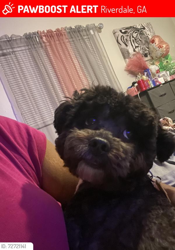 Lost Male Dog last seen Taylor / Flint River , Riverdale, GA 30274