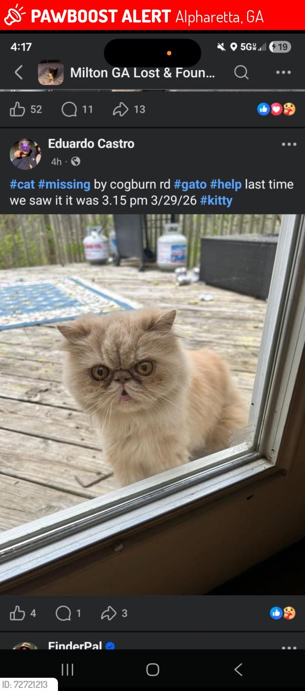 Lost Female Cat last seen Cogburn rd and Windham Farm subdivision , Alpharetta, GA 30004