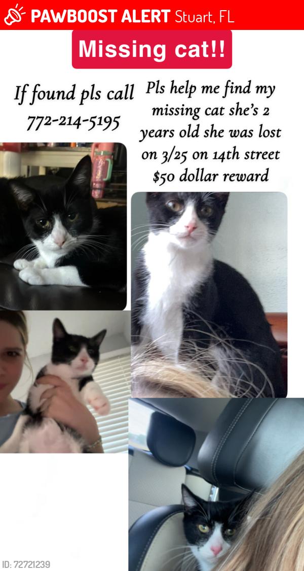 Lost Female Cat last seen 15th Street , Stuart, FL 34996