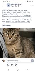 Lost Male Cat last seen San Miguel Rd Contra Costa C Trail, Concord, CA 94518