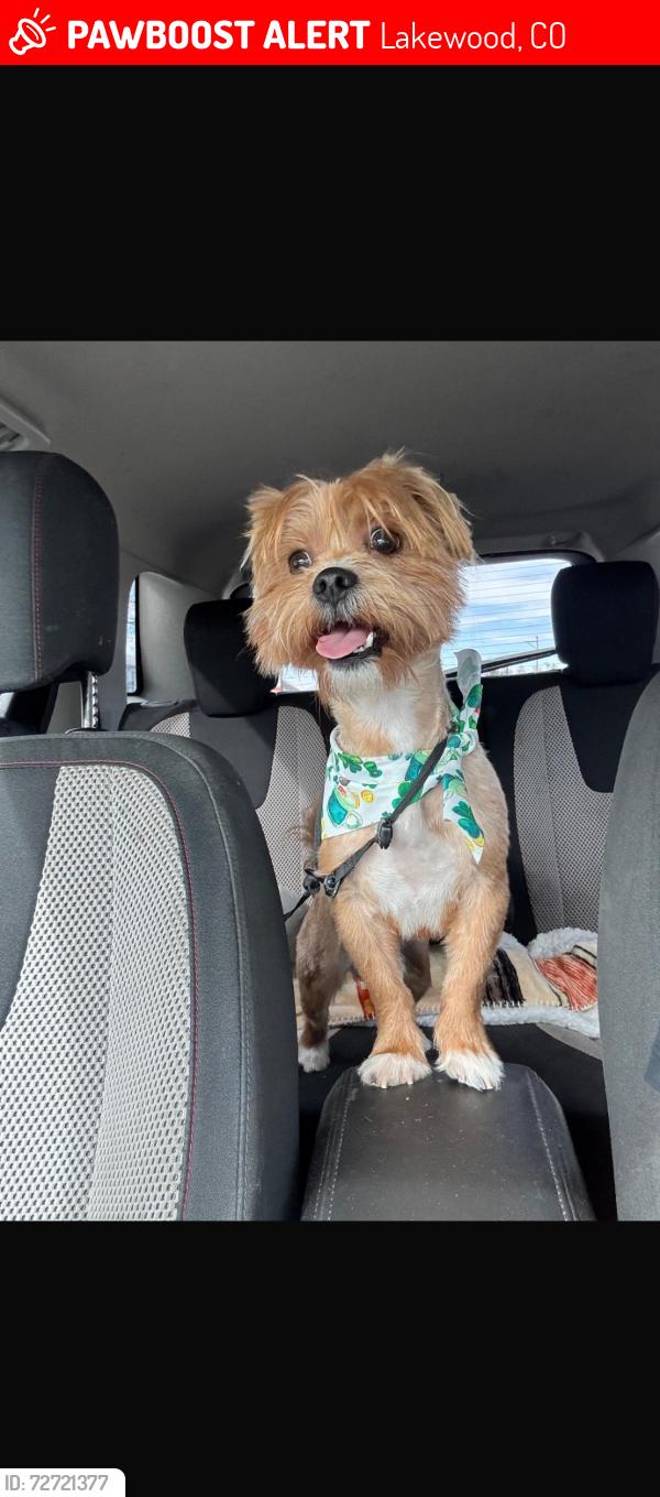 Lost Male Dog last seen Near W Mississippi ave, Lakewood, CO 80226