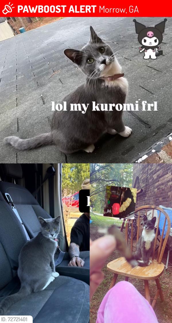 Lost Female Cat last seen She was last seen at the qt , Morrow, GA 30260