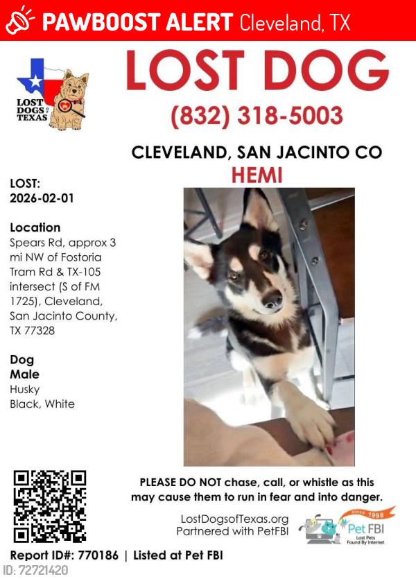 Lost Male Dog last seen Spears Road, Fostoria Area, Cleveland, TX 77328