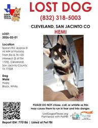 Lost Male Dog last seen Spears Road, Fostoria Area, Cleveland, TX 77328