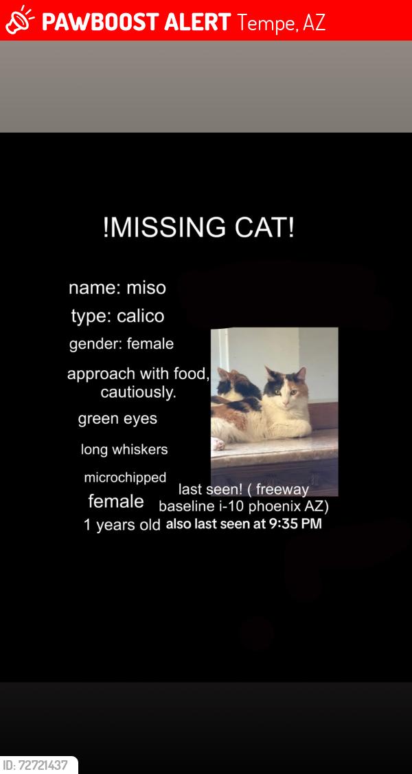 Lost Female Cat last seen I10 & Baseline , Tempe, AZ 85282