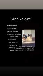 Lost Female Cat last seen I10 & Baseline , Tempe, AZ 85282