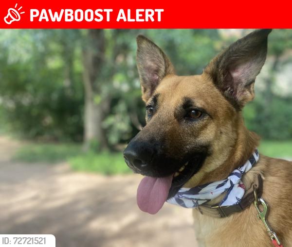 Lost Male Dog last seen Going towards woodway, Old River-Winfree, TX 77580
