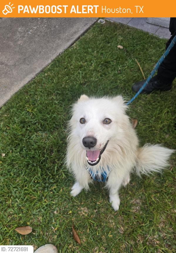Found/Stray Male Dog last seen West rd and huffmeister , Houston, TX 77095