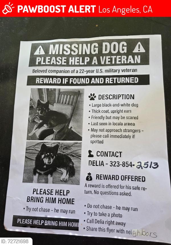 Lost Male Dog last seen Vallejo between Daly & Avenue 21, Los Angeles, CA 90031