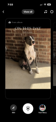 Lost Male Dog last seen Near in Eustace tx, Eustace, TX 75124