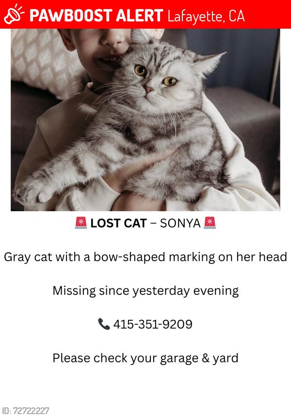Lost Female Cat last seen Near almanor ct, Lafayette, CA 94549