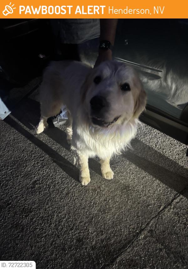Found/Stray Unknown Dog last seen Pacific and horizon , Henderson, NV 89015