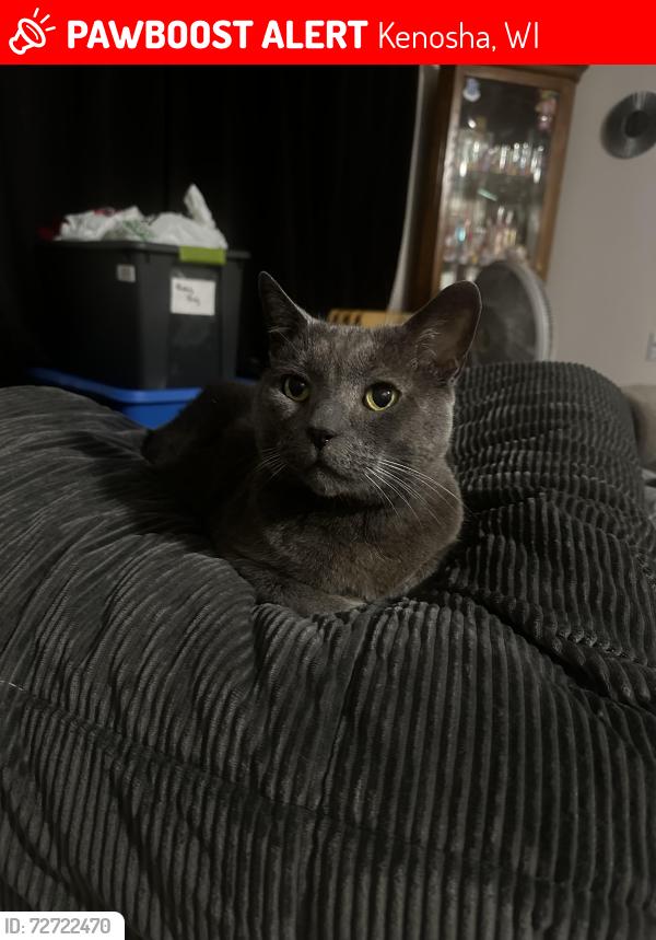 Lost Male Cat last seen 39th Ave & 15th st, Kenosha, WI 53144