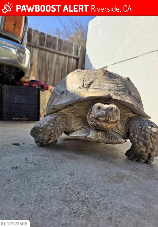 Lost Male Other last seen Palm and Jurupa Ave, Riverside, CA 92506