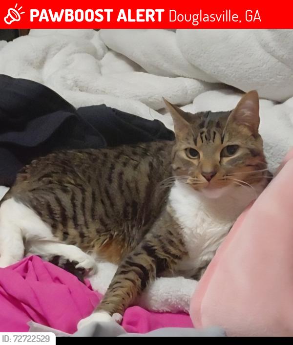 Lost Female Cat last seen Arbor parkway, Douglasville, GA 30135