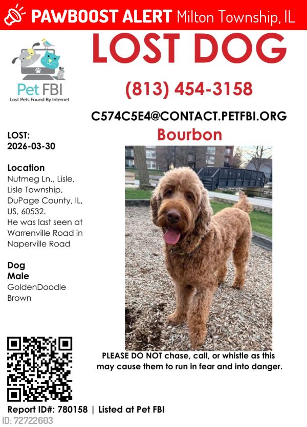 Lost Male Dog last seen Naperville Rd & Butterfield Rd, Milton Township, IL 60137
