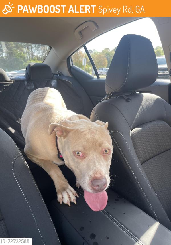 Found/Stray Female Dog last seen Spivey Rd. & Spivey Ridge Cir., Spivey Rd, GA 30236