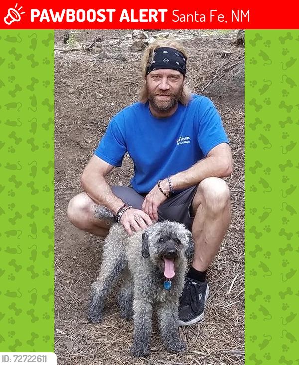 Lost Male Dog last seen St. Francis & Agua Fria, Santa Fe, NM 87501