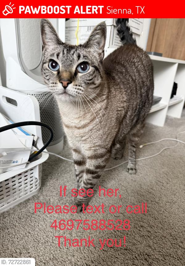 Lost Female Cat last seen Near NOVY GROVE DR , Sienna, TX 77459