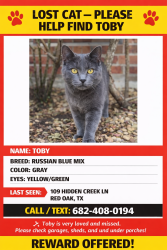 Lost Male Cat last seen Hidden creek ln & Rugged , Red Oak, TX 75154