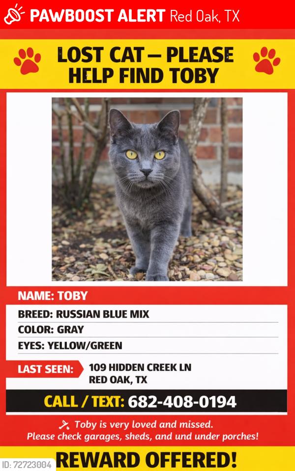 Lost Male Cat last seen Hidden creek ln & Rugged , Red Oak, TX 75154