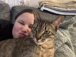 Lost Male Cat last seen Conroy blvd, Orlando, FL 32811