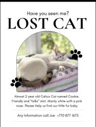 Lost Female Cat last seen Second Ave and Garden Circle , Decatur, GA 30032