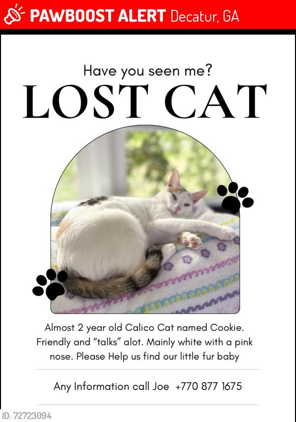 Lost Female Cat last seen Second Ave and Garden Circle , Decatur, GA 30032